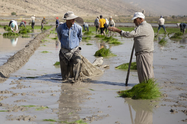 برخی مدیران تصمیمگیرنده بحران آب را موقتی میدانند/ قیمت آب واقعی شود برخی مدیران تصمیمگیرنده بحران آب را موقتی میدانند/ قیمت آب واقعی شود
