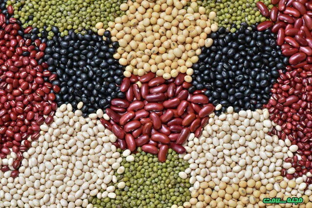 جزئیات جدید از قیمت حبوبات در بازار جزئیات جدید از قیمت حبوبات در بازار