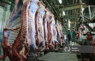 افزایش واردات گوشت قرمز طی روزهای آتی/ کمبودی در ماه رمضان نداریم افزایش واردات گوشت قرمز طی روزهای آتی/ کمبودی در ماه رمضان نداریم