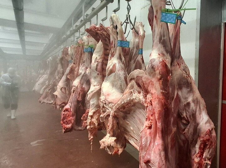 سهم بستهبندی در قیمت گوشت چقدر است؟/ ادامه روند واردات سهم بستهبندی در قیمت گوشت چقدر است؟/ ادامه روند واردات
