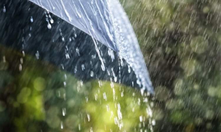 رگبار باران و رعد و برق در جنوب غرب کشور