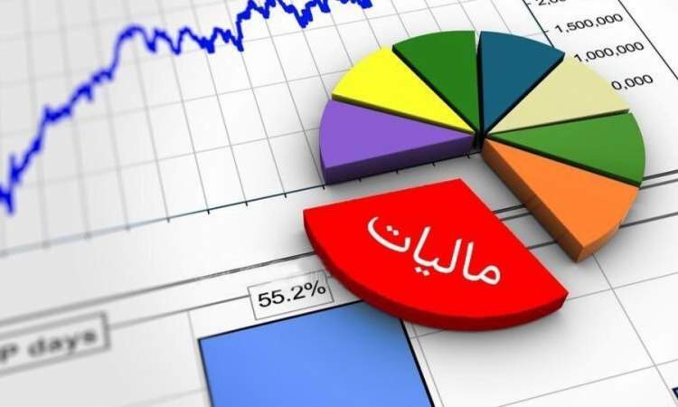 پرداخت ۵۰ درصد مالیات مشاغل توسط یک درصد مودیان/ سهم ۶ درصدی اصناف در مالیات