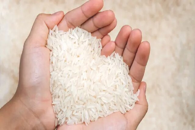 برنج هندی ارزان شد/ برنج ایرانی در راه کاهش