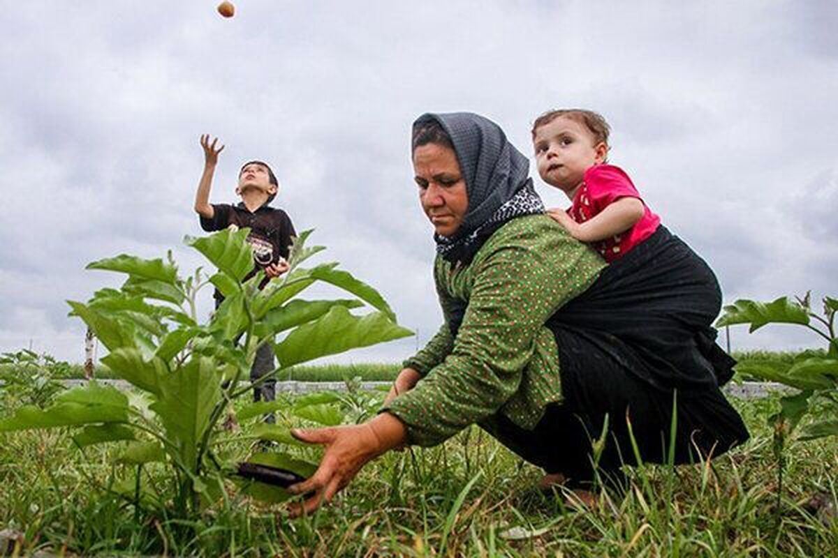 بیمه رایگان زنان روستایی دارای ۳ فرزند و بیشتر/ افزایش ۳۰درصدی مستمری بیمه‌شدگان